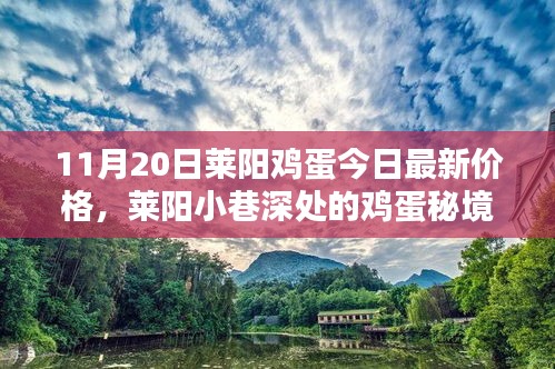 萊陽(yáng)雞蛋最新價(jià)格揭秘，小巷深處的特色小店與雞蛋秘境探索