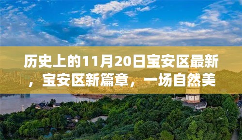 寶安區(qū)新篇章啟程，探尋自然美景之旅，溫暖陽光下的寶安區(qū)探尋日（11月20日）