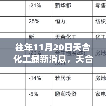 天合化工最新動態(tài)解讀，產(chǎn)品特性、用戶體驗(yàn)與目標(biāo)用戶分析揭秘