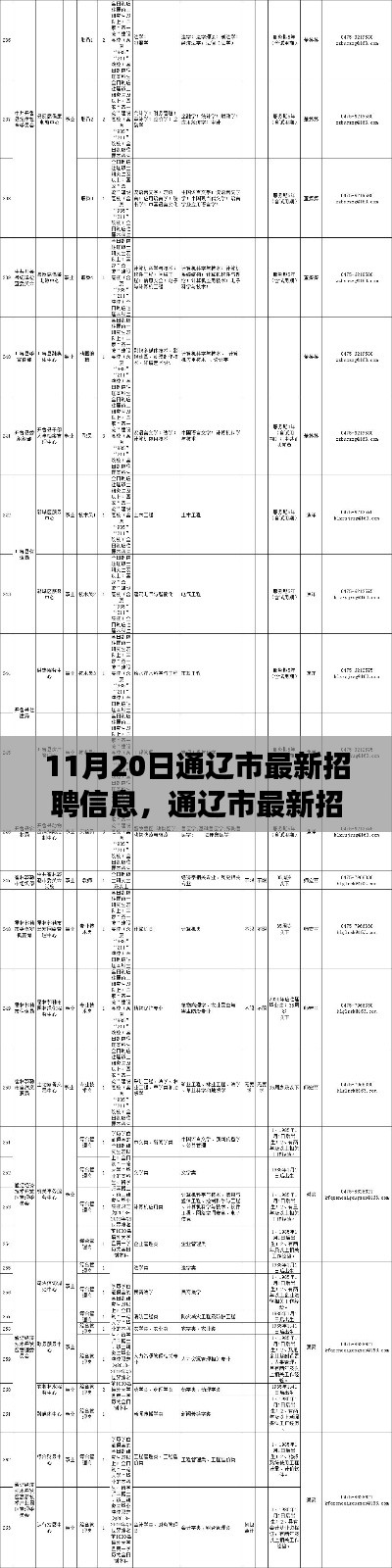 通遼市最新招聘信息概覽，職場(chǎng)人的福音（11月20日更新）