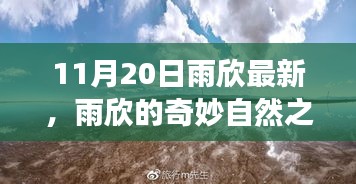 雨欣的11月20日奇妙探險，自然之旅尋找心靈寧靜與笑聲