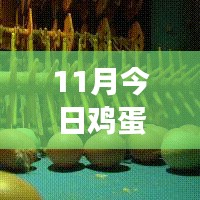 11月雞蛋價格最新行情解析，多方觀點交織的思考