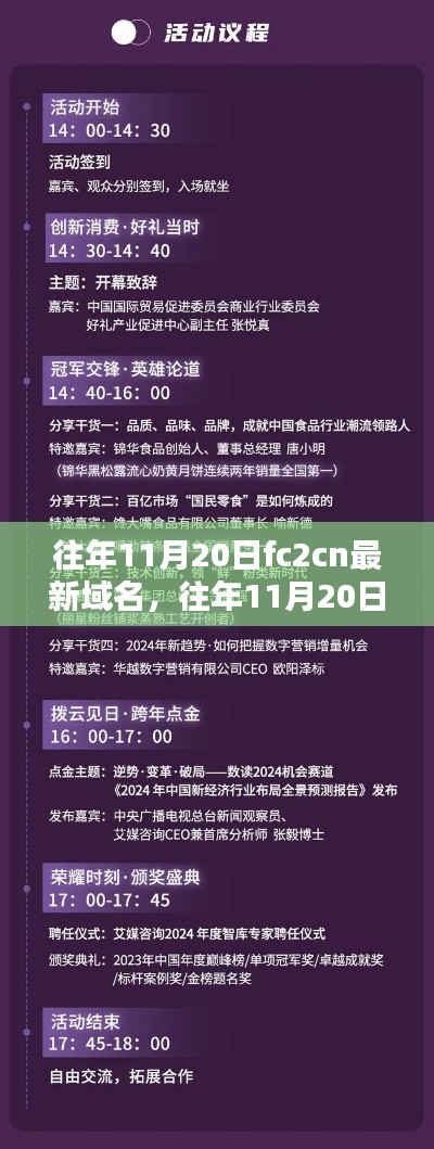 往年11月20日FC2CN域名更新，解析與觀點闡述