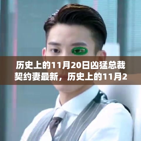 歷史上的11月20日，契約妻文化與兇猛總裁現(xiàn)象的深度解讀