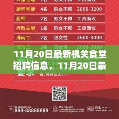 最新機關(guān)食堂招聘信息詳解，11月20日發(fā)布的全解析報告