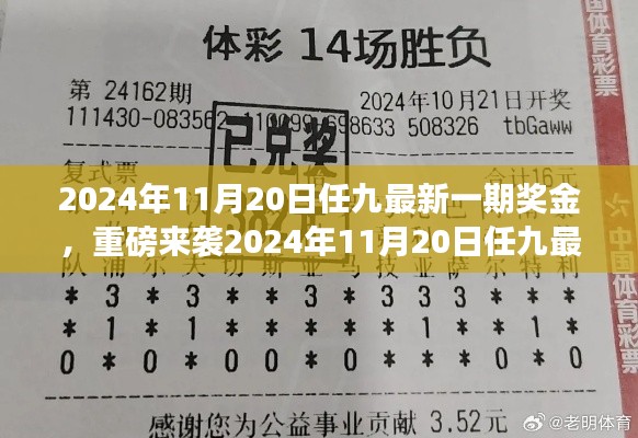 揭秘2024年11月20日任九最新一期獎金揭曉，財富密碼大解密！