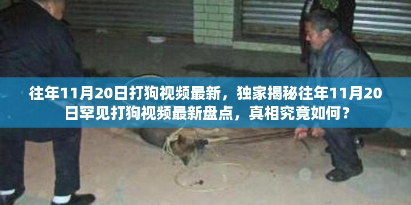 獨家揭秘，往年11月20日罕見打狗事件回顧與最新視頻盤點，真相揭秘！