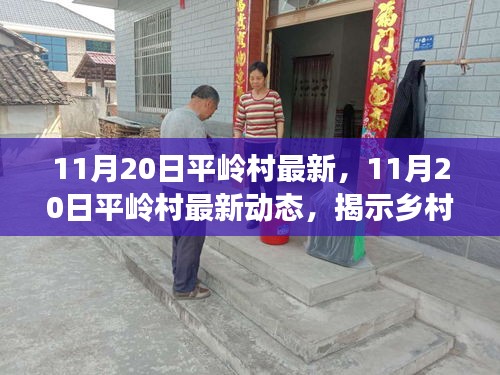 11月20日平嶺村最新，11月20日平嶺村最新動(dòng)態(tài)，揭示鄉(xiāng)村發(fā)展的時(shí)代脈搏