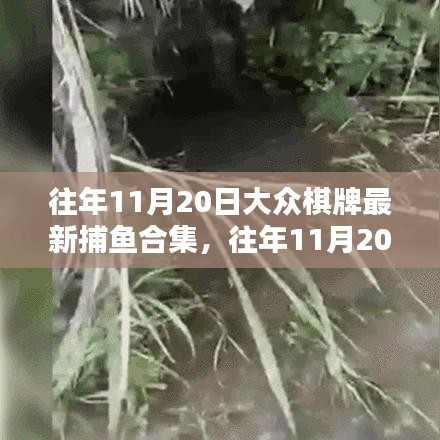 往年11月20日大眾棋牌捕魚(yú)盛宴，最新合集與攻略一網(wǎng)打盡！