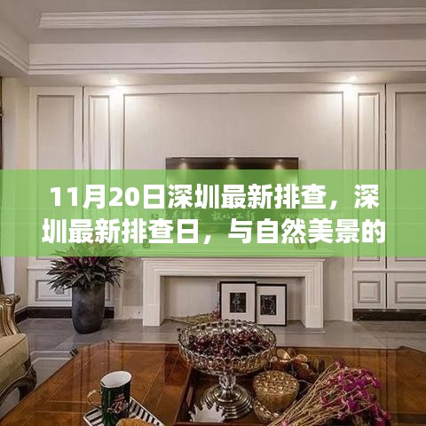 深圳最新排查日，自然美景中的內(nèi)心寧靜之旅