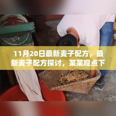 最新麥子配方探討，某某觀點(diǎn)下的分析與個(gè)人立場分享（11月20日更新）