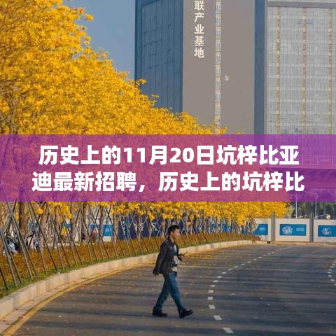 坑梓比亞迪招聘高峰日揭秘，探尋歷史招聘足跡下的11月20日