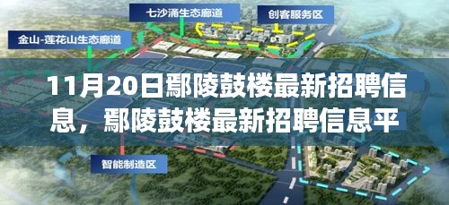 11月20日鄢陵鼓樓最新招聘信息及平臺(tái)深度評測，特性、體驗(yàn)與用戶洞察