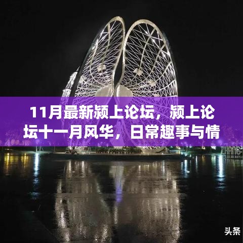 潁上論壇十一月風(fēng)華，日常趣事與情感紐帶
