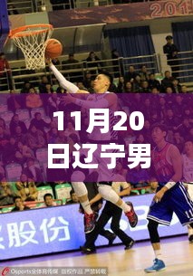 聚焦賽場風(fēng)采，遼寧男籃最新圖片報(bào)道（11月20日）