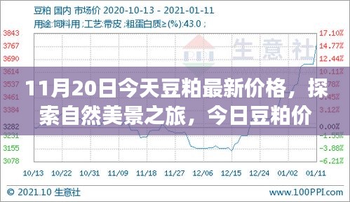 廢寢忘食 第17頁(yè)