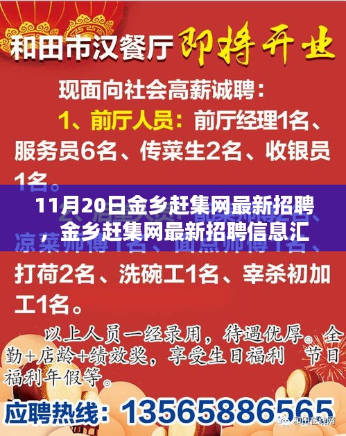 11月20日金鄉(xiāng)趕集網(wǎng)最新招聘匯總，熱點(diǎn)崗位解析與招聘信息