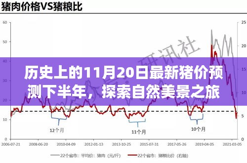 歷史上的11月20日豬價預(yù)測與心靈寧靜尋覓之旅，自然美景探索