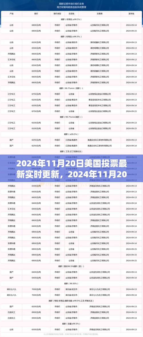 美國(guó)大選最新動(dòng)態(tài)，實(shí)時(shí)投票更新與指南，針對(duì)初學(xué)者與進(jìn)階用戶