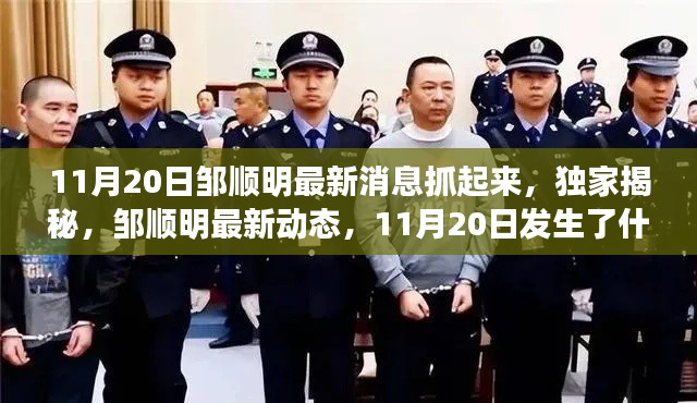 獨家揭秘，鄒順明最新動態(tài)及11月20日事件內(nèi)幕揭秘