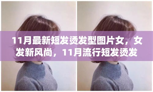 11月流行女發(fā)短燙發(fā)，全新風(fēng)尚與全攻略圖片欣賞