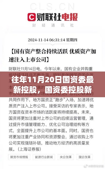 揭秘，國資委控股新紀元背后的重磅事件與影響，歷年11月20日的回顧與展望