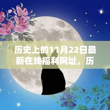 歷史上的11月22日與最新在線福利網(wǎng)址，多方觀點深度探析