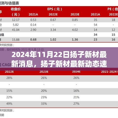 2024年11月22日揚(yáng)子新材最新消息，揚(yáng)子新材最新動(dòng)態(tài)速遞，2024年11月22日的三大看點(diǎn)