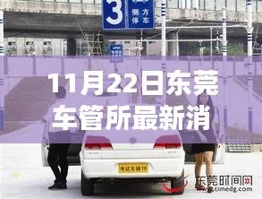 東莞車管所溫馨日常，趣事與陪伴的特別記錄（11月22日最新消息）