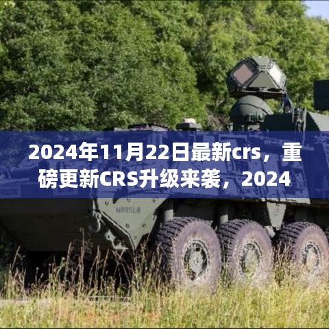 重磅更新CRS升級(jí)來襲，解讀最新政策與應(yīng)對(duì)策略，2024年CRS新動(dòng)向解析
