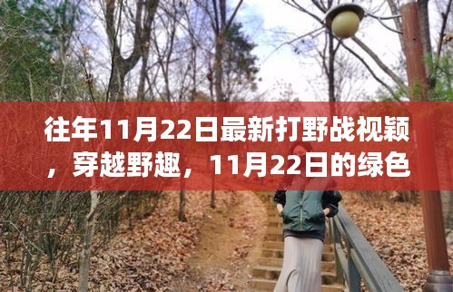 往年11月22日最新打野戰(zhàn)視穎，穿越野趣，11月22日的綠色冒險(xiǎn)之旅，尋找內(nèi)心的寧?kù)o與平和