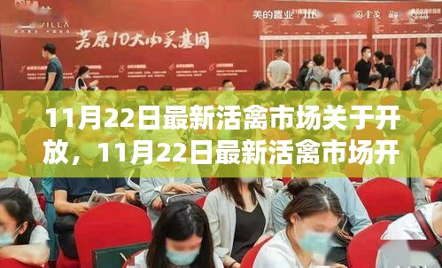 11月22日活禽市場開放動態(tài)，復(fù)蘇與機(jī)遇的挑戰(zhàn)
