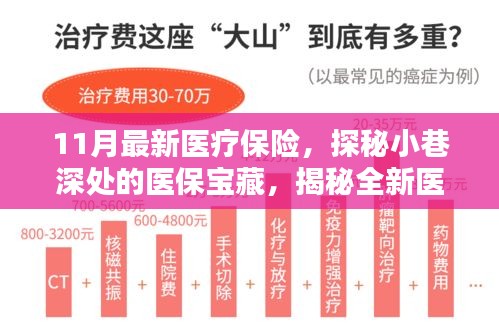 探秘醫(yī)保寶藏，揭秘全新醫(yī)療保險(xiǎn)特色小店，11月最新醫(yī)療保險(xiǎn)深度解讀