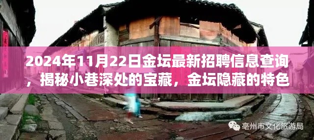 揭秘金壇隱藏特色小店與最新招聘信息奇遇記，2024年11月22日金壇招聘信息深度查詢