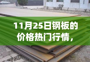 11月25日鋼板價(jià)格行情深度解析，市場(chǎng)波動(dòng)與多方觀點(diǎn)透視