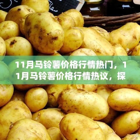探析市場(chǎng)波動(dòng)與各方觀點(diǎn)，揭秘十一月馬鈴薯價(jià)格行情熱議背后的故事