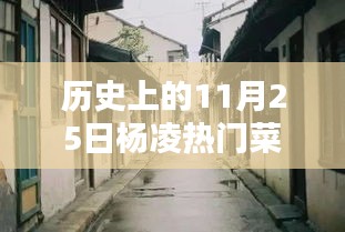 歷史上的楊凌菜價探秘，十一月二十五日小巷深處的時光味道與熱門菜價揭秘