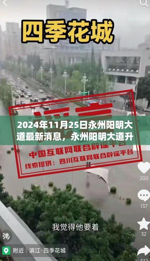 永州陽(yáng)明大道升級(jí)改造最新進(jìn)展深度評(píng)測(cè)，最新消息與評(píng)測(cè)報(bào)告（2024年11月25日）