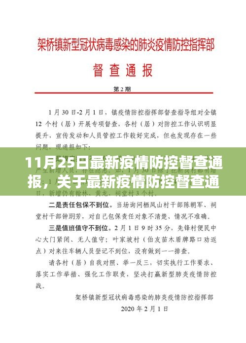 聚焦要點(diǎn)解讀，最新疫情防控督查通報(bào)分析（11月25日版）