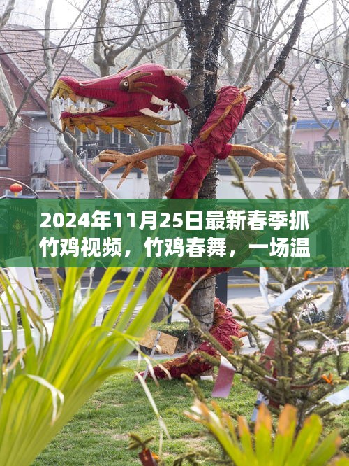 竹雞春舞，2024年春季抓竹雞視頻，歡樂抓雞之旅紀(jì)實(shí)