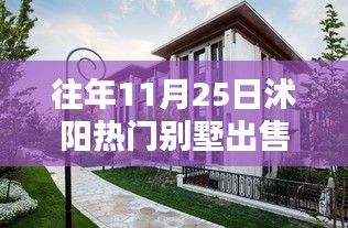 沭陽智能別墅，科技重塑居住品質，未來居住新體驗熱賣中