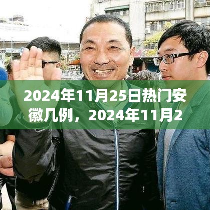 2024年11月25日安徽疫情最新熱點(diǎn)解讀，病例數(shù)量及防控措施