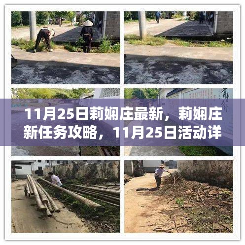 莉嫻莊新任務(wù)攻略與活動(dòng)詳解，11月25日指南，提升技能全解析