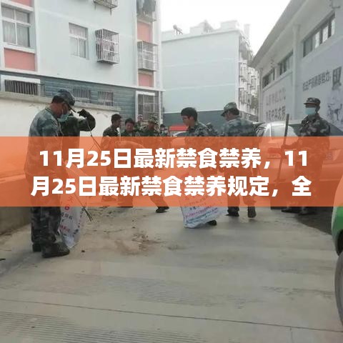 全面解讀及影響分析，最新禁食禁養(yǎng)規(guī)定出臺(tái)，時(shí)間聚焦至11月25日