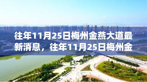 往年11月25日梅州金燕大道，發(fā)展詳評與最新動態(tài)解析