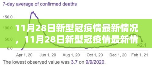 全面評測與深度解析，11月28日新冠疫情最新情況