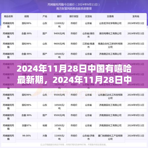 2024年11月28日中國(guó)有嘻哈最新期，觀眾參與指南