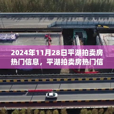平湖拍賣房熱門信息揭秘，回顧與展望，影響深遠(yuǎn)！