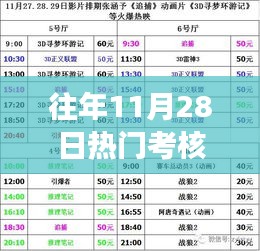 往年11月28日熱門(mén)考核指標(biāo)深度解析，特性、體驗(yàn)、競(jìng)爭(zhēng)分析與目標(biāo)用戶洞察