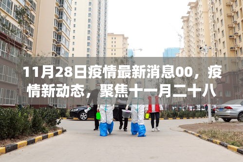 聚焦全球疫情動態(tài)，十一月二十八日最新進展與影響分析